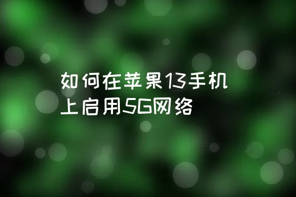 如何在苹果13手机上启用5G网络