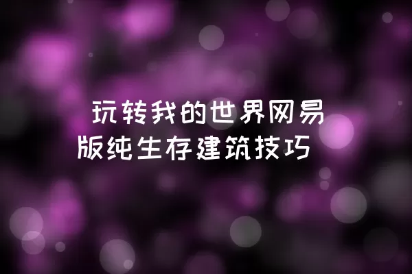  玩转我的世界网易版纯生存建筑技巧