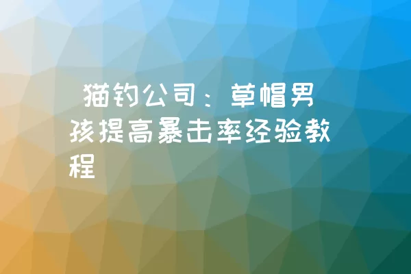  猫钓公司：草帽男孩提高暴击率经验教程